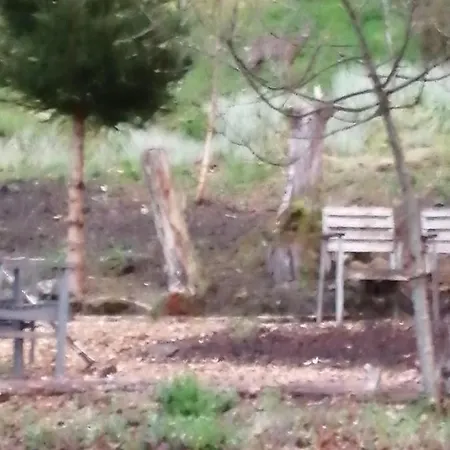 ベッド・アンド・ブレックファスト L'ourthe