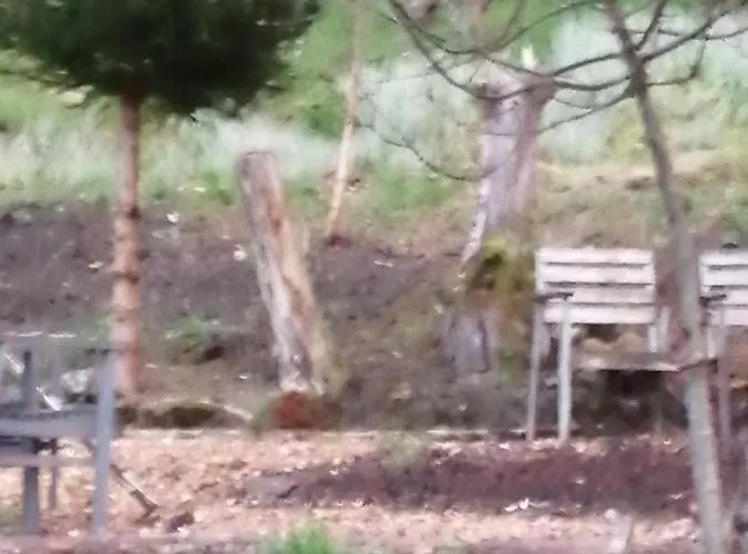 Bed & Breakfast L'ourthe