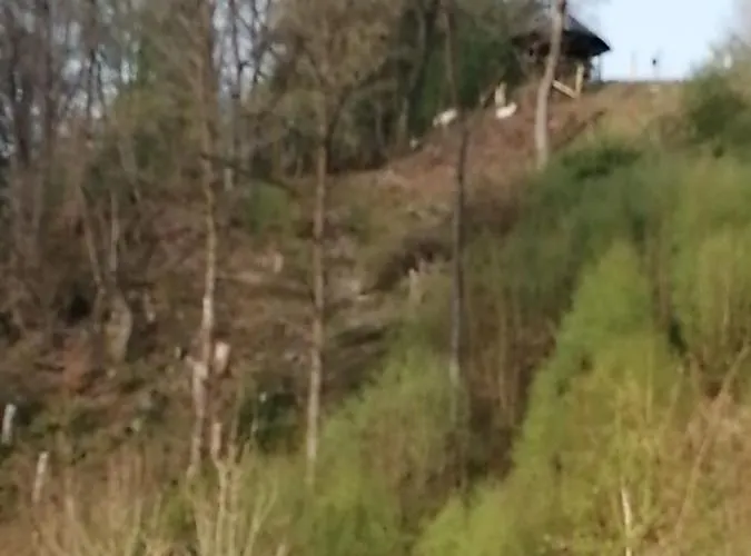 Bed & Breakfast L'ourthe 4*